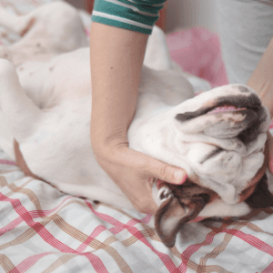 Introduction to Shiatsu