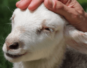 EnergyWork™ - EnergyReading™