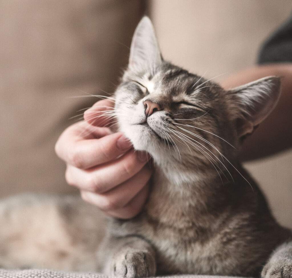 Relaxation webinar page 1