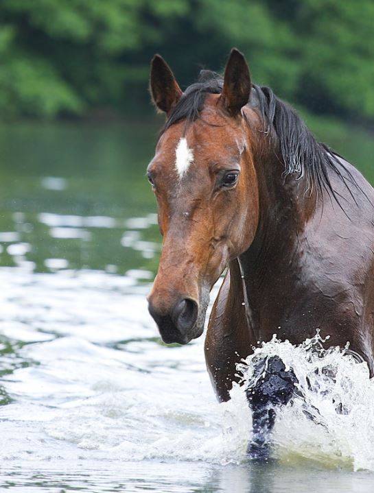 Acupoints for heat thank you 2