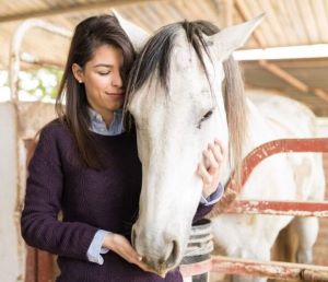 Five Element Course Bundle