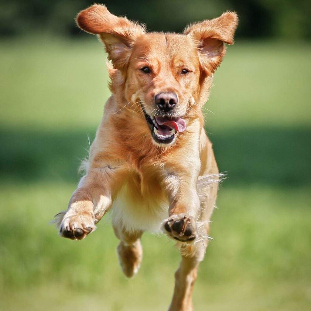 Energize Registration 2