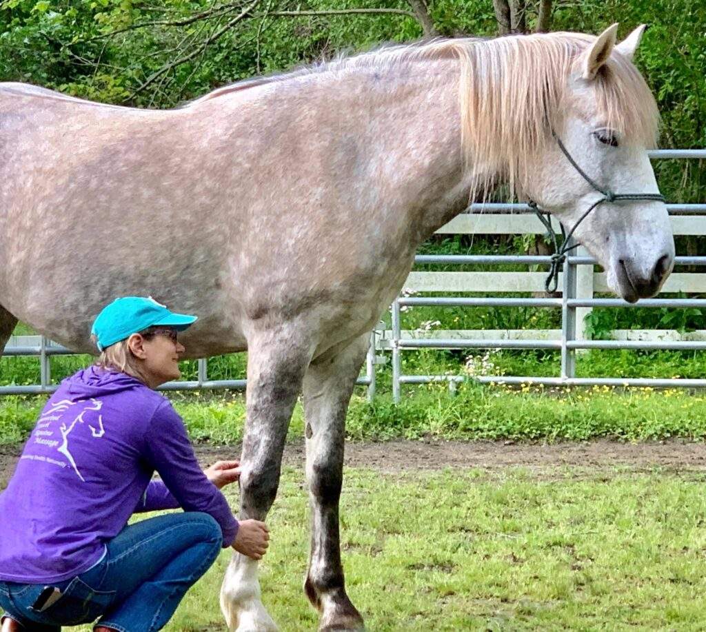 Elemental Acu Merci 1