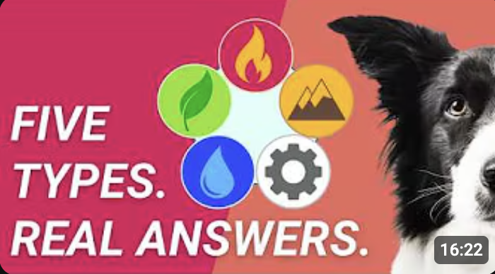 5 Animal Types EVERY Animal Pro NEEDS To Know