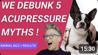 5 Myths Keeping Animal Pros from Trying Acupressure - Don't Miss Out!