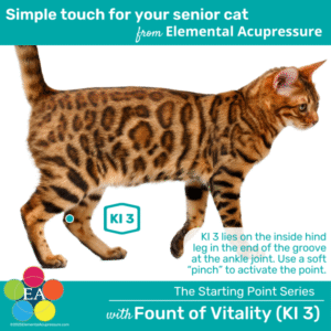 Starting Points Series: Fount of Vitality (KI 3) for Cats