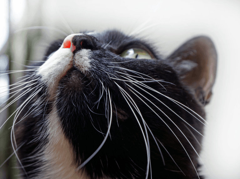 Breathe E.A.SY. - acupoints for smoke and poor air quality 1