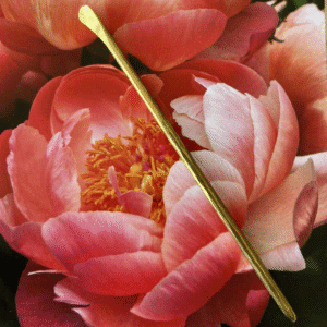 Online Course: Introduction to the Teishin - the Japanese non-insertive needle