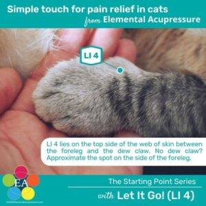 Starting Points Series: Let It Go (LI 4) for Cats