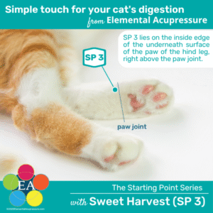 Starting Points Series: Sweet Harvest (SP3) for Cats