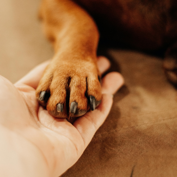 2026 In Your Element Registration Page 3