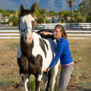 Certification Program - Buy Now Pay Later option - Payment One