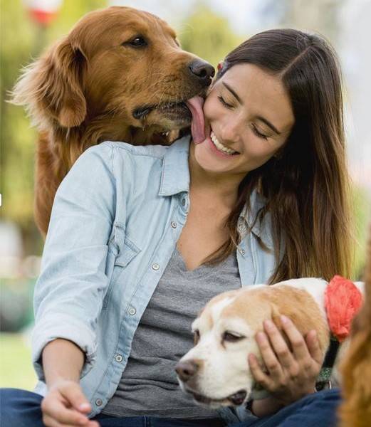 A woman smiles while petting a dog as another dog licks her cheek.
