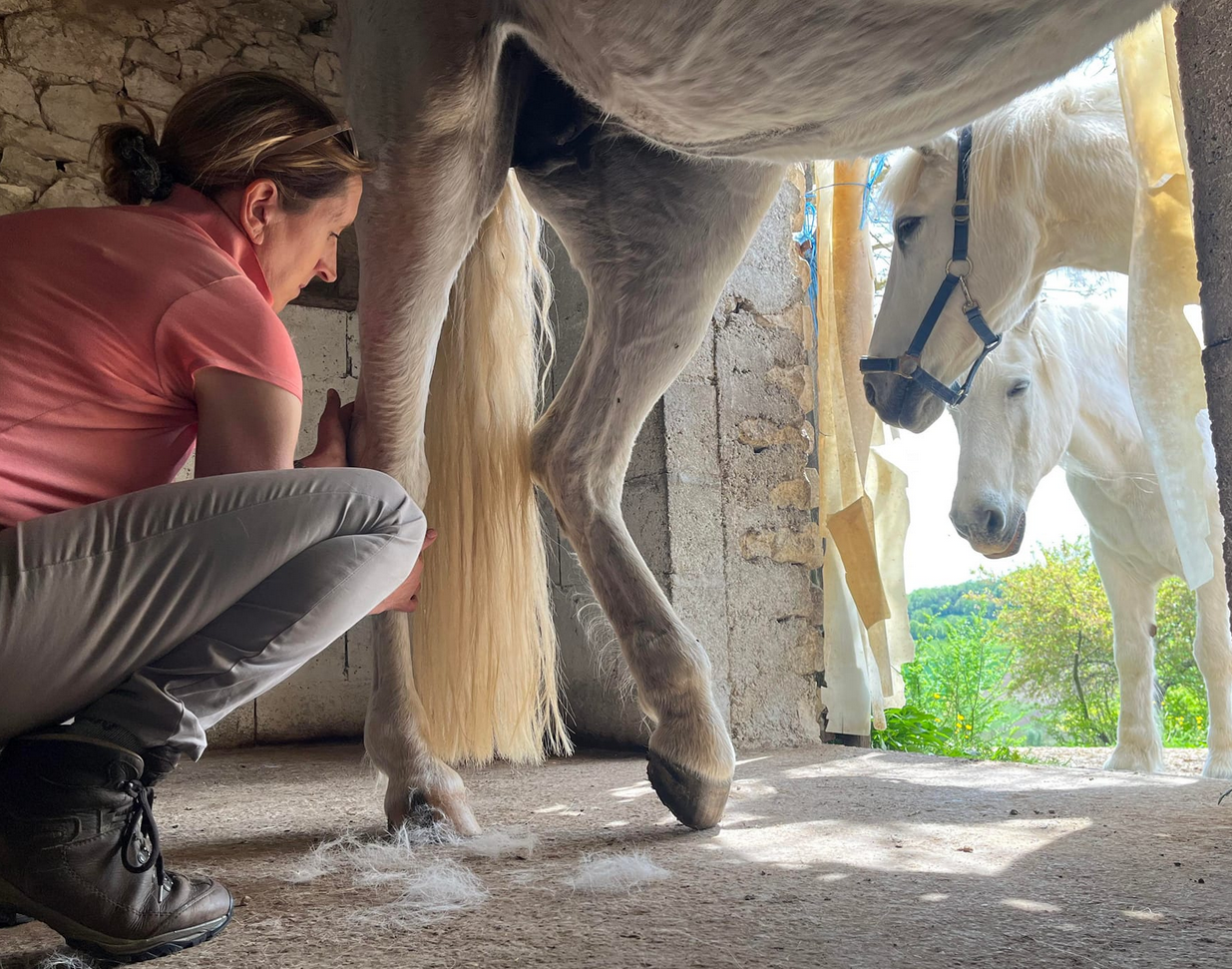 A woman kneels by a horse's legs.