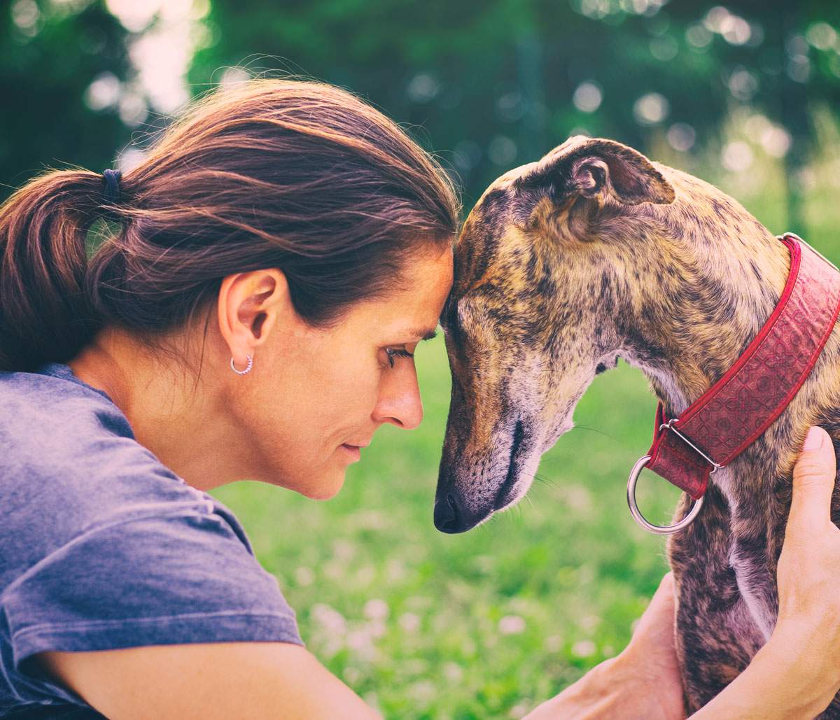 A woman sitting with her forehead touching the forehead of her dog.