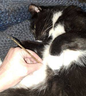 Resources - in Process 1