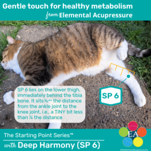 Starting Points Series: Deep Harmony (SP 6) for Cats