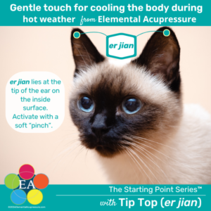 Starting Points Series: Tip Top (er jian) for Cats