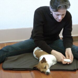 Elemental Acupressure Certified Practitioner