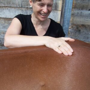 Advanced Elemental Acupressure Practitioner