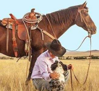 001 cowboy-1130695_1920