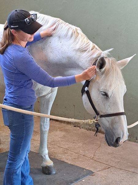 20250501_151944 - 450 x 605 site edit