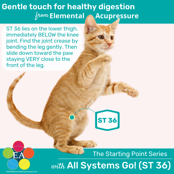 600x600 product thumbnail SPS ST 36 cat
