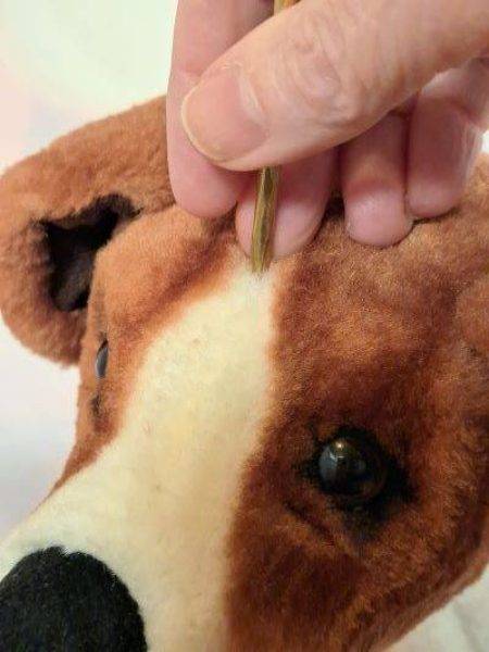 Earth Teishin tip to forehead closeup small