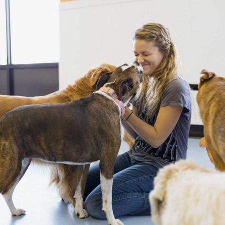 doggie kisses