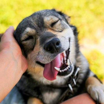 iStock-1041987488-edit