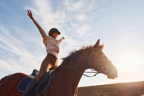 Young woman in protective hat with her horse in agriculture field at sunny daytime.