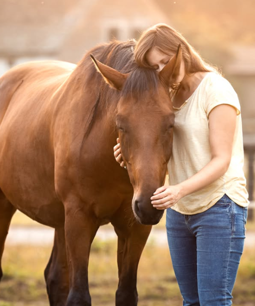 rubi and orlando snuggle 500x600
